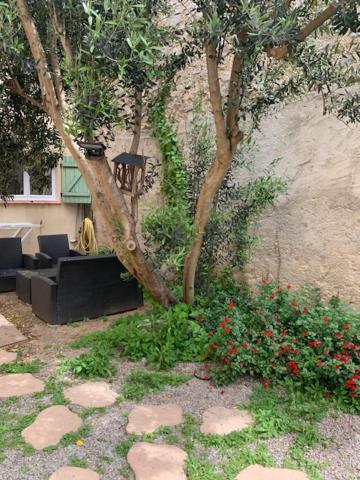 Ferienwohnung L'Olivier De Nonna Gruissan Exterior foto